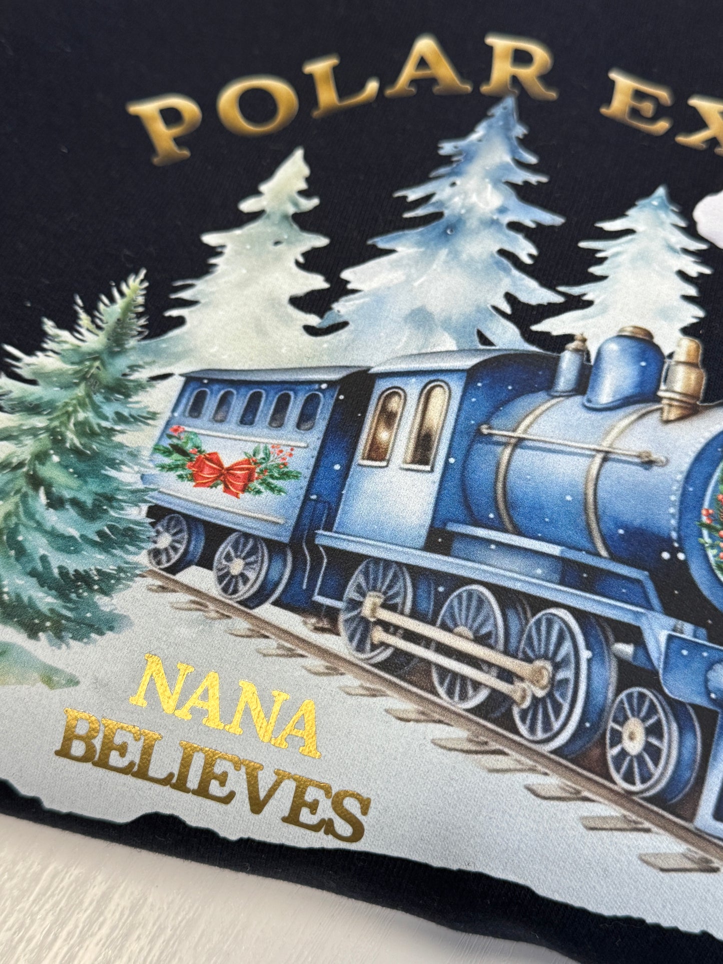 Personalised Christmas Family Polar Express Sweatshirt Star PJ's