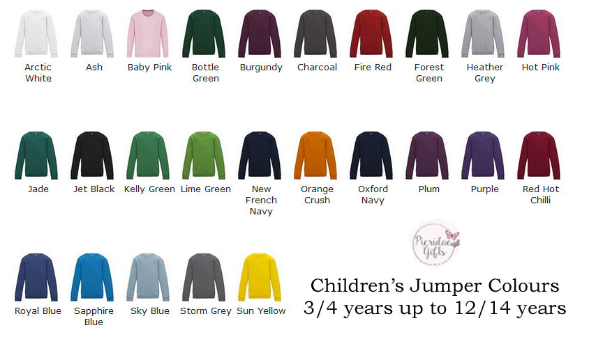 Personalised Dinosaurus Jumper (other colours available)
