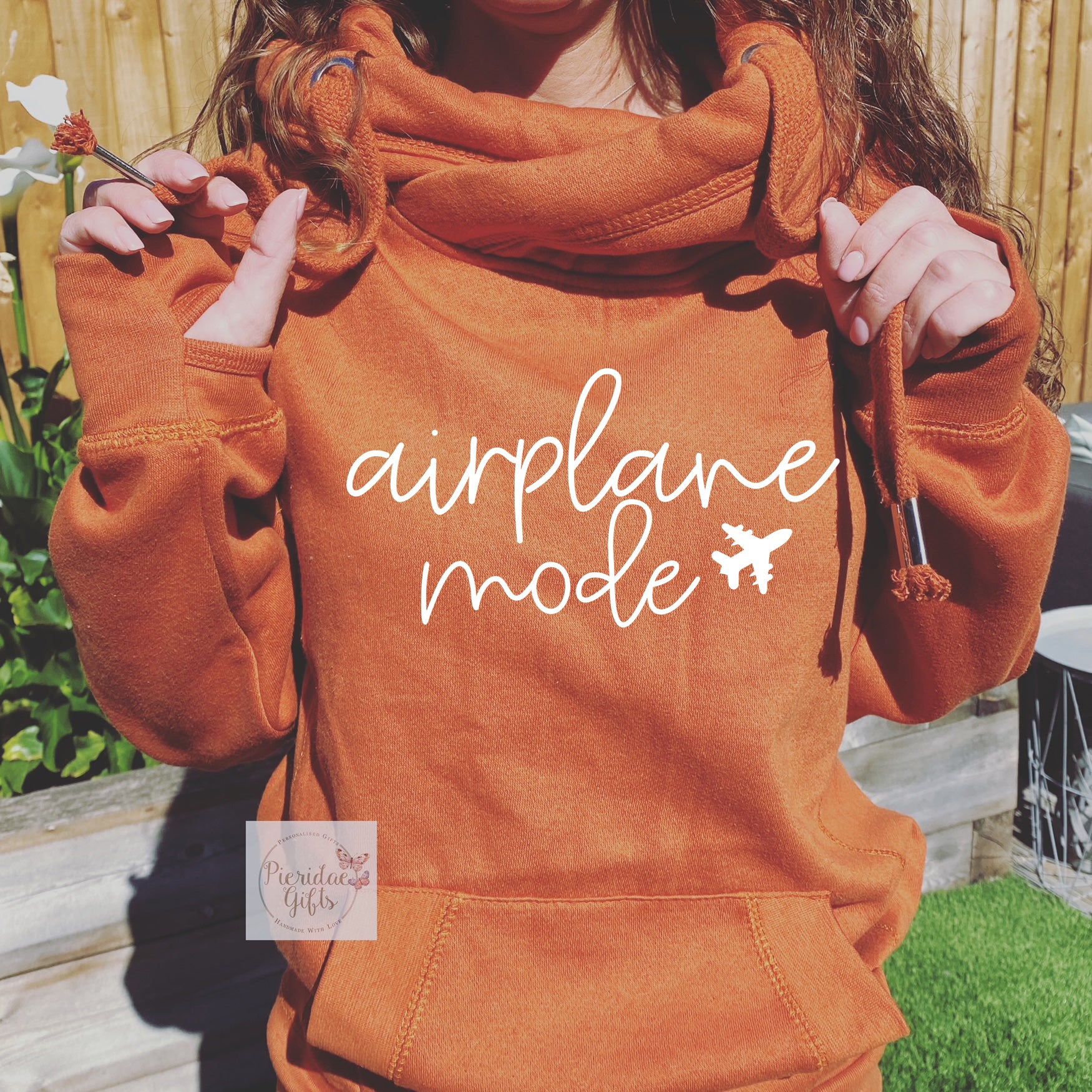 Airplane Mode heavyweight pull over Hoodie