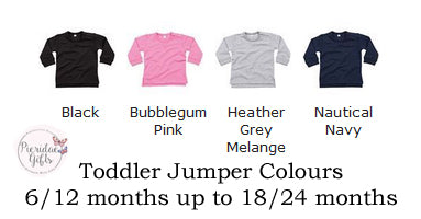 Personalised Dinosaurus Jumper (other colours available)