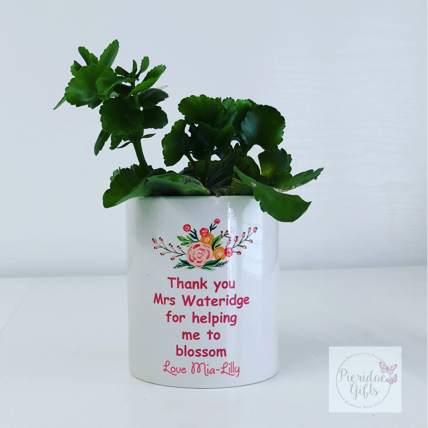 Teacher's Personalised Plant Pot