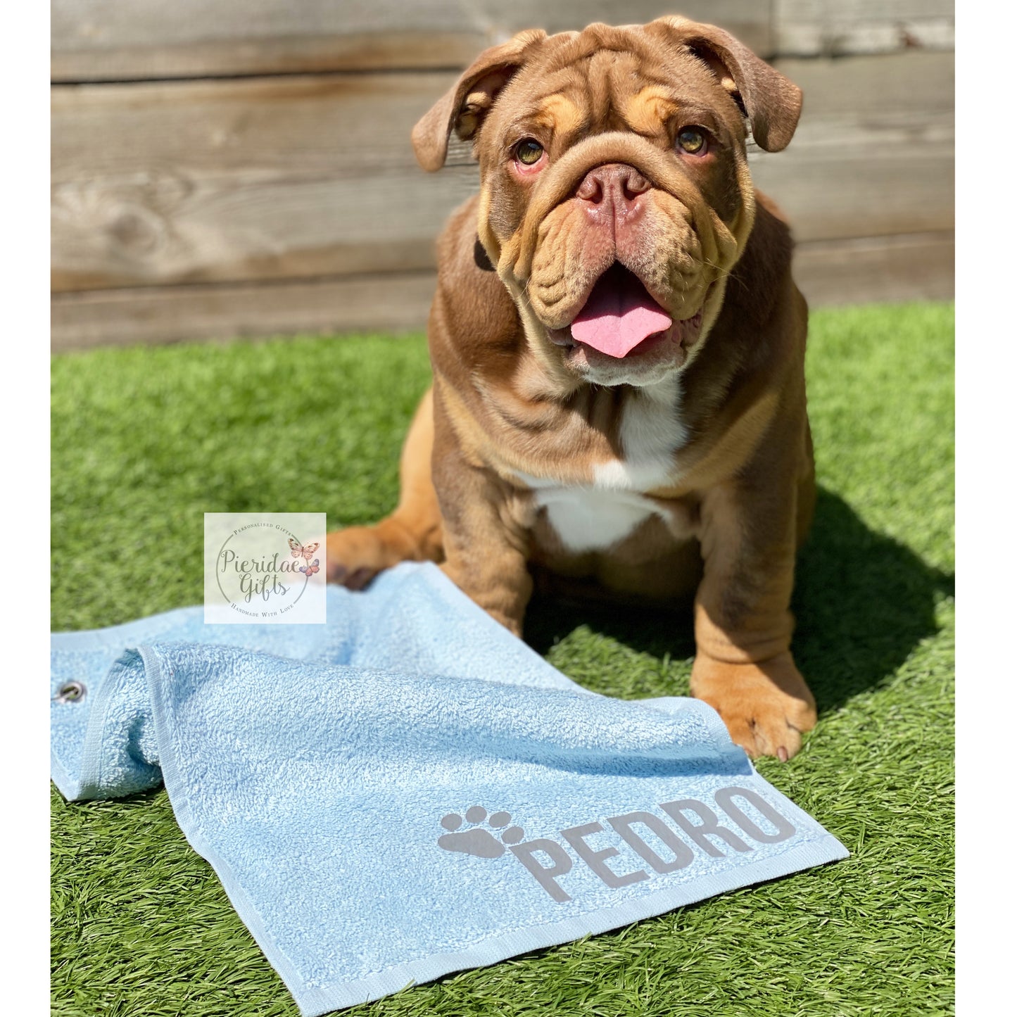 Personalised Pet Tootsie Towel